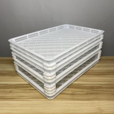 China Pasta Drying Tray Food Grade Plastic Storage Tray With Grid Plastic drying tray for sale