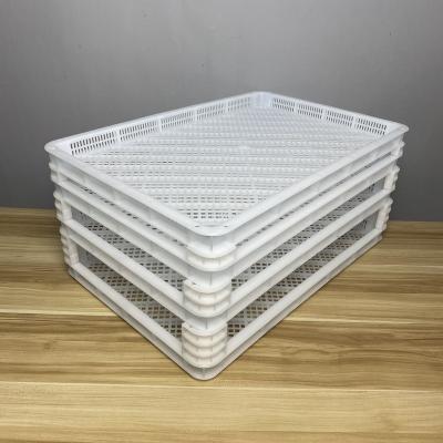 China Heavy Duty Large Stacked Vented Plastic Mushroom Drying Trays for industrial drying equipment en venta