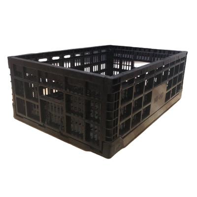 China Transport Plastic Transport Crate Plastic Foldable Basket Box Collapsible Crate for sale