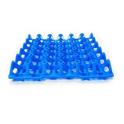 Cina High quality 30 Holes 100% Virgin Plastic Egg Crate/ egg transport crates / egg tray fro sale in vendita