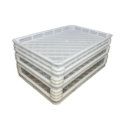 Cina Food Tray Packaged Supermarket Meat Plastic Food Tray in vendita