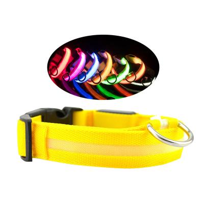 China Lights Up Rechargeable Cat Pet Anti-lost Collar USB LED Lights Charging Dog Collar for sale