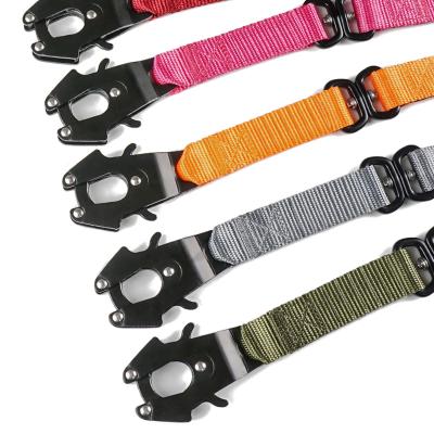 China New Fashion Reflective Nylon Double Layers Webbing Frog Buckle Dog Leash With Different Colors for sale