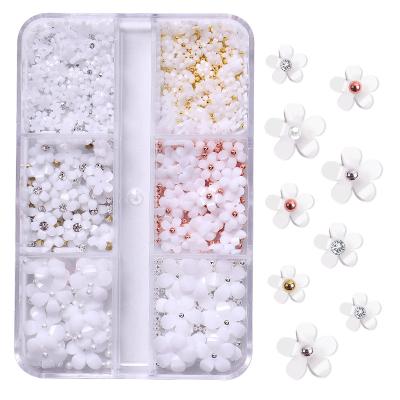 China Petal with pearl popular colorful petal mixed with pearls nail art decoration in 6 grid plastic box package for sale