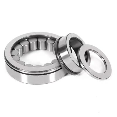 China Materials and C4 Clearance F-202578 Hydraulic Pump Cylindrical Roller Bearing for sale