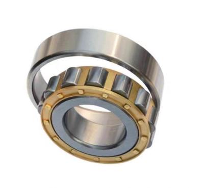 China Stock Supply N311EM Brass Cage Cylindrical Roller Bearing N311ECM Bearing 55x120x29mm for sale