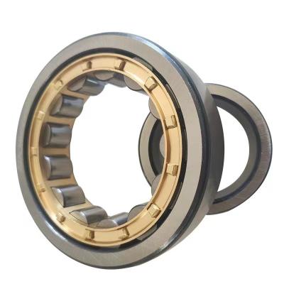 China SL 04 5056 PP Bearing Steel Cylindrical Roller Bearing for Heavy Load Applications for sale