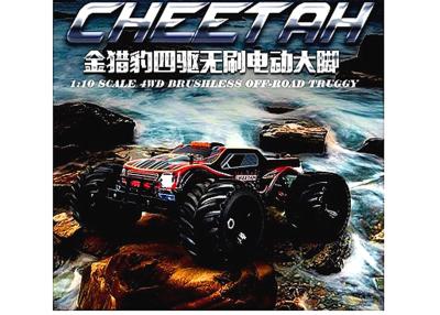 China Big Bore Shocks Brushless Electric RC Car , 1 10 Scale Electric RC Trucks for sale