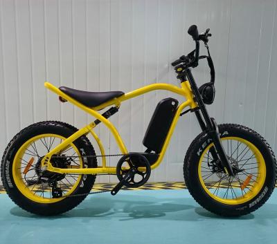 China Aluminum alloy electric mountain bike20x4.0 fat tire ebike alloy frame with powerful motor for sale