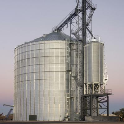 China Harbor 500 | 15000 ton steel grain silo for maize paddy rice wheat storage for sale