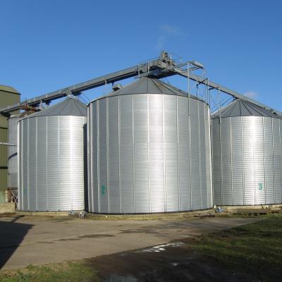 China Leading Supplier North Port Customized Grain Bin Silo System for sale