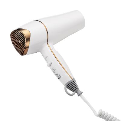 China Use Easy Top Selling Electric Professional Hair Dryer For Hotel Easy Use Discount Dryer for sale