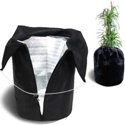 China Waterproof Nonwoven Garden Plant Cover Roots Cover Frost Protection Covers With Drawstring For Winter Frost Protection for sale