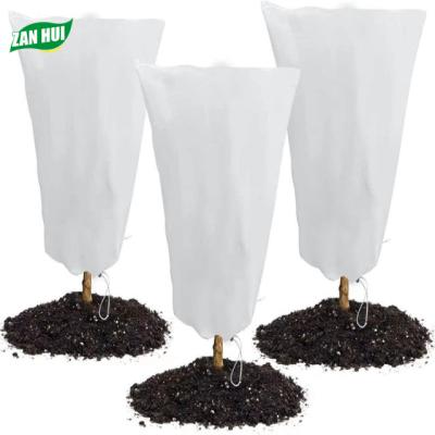 China Garden Plant Cover Breathable Nonwoven Antifreeze Drawstring Covers For Winter Antifreeze for sale