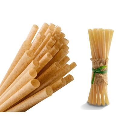 China Traditional Compostable Disposable Person Wrapped Sugar Cane Bagasse Plant Based Straw for sale