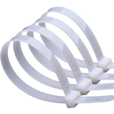 China Convenient and tidy white nylon tamper and water proof cable tie for sale