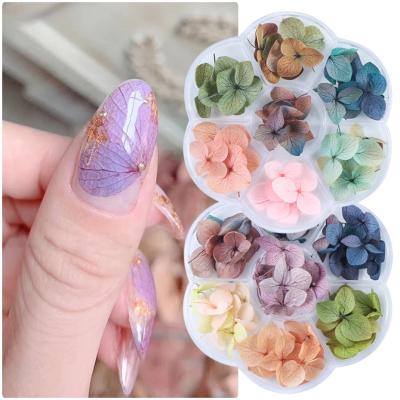 China 3d Nail Art DIY Decoration Pressed Dry Polish Nail Art Decoration DIY Petal Hydrangea Flower Manicure Tips Leaf Sticker Decals Dry UV Gel UV Gel for sale