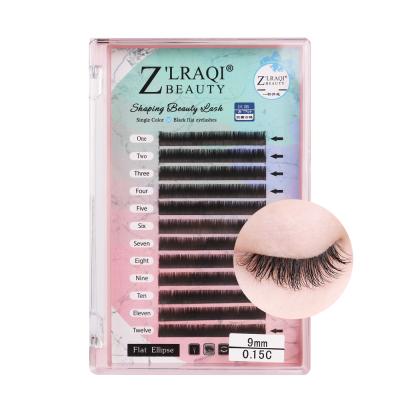 China Professional Eyelash Extension is Newly Released Korea Handmade Product Black Professional Eyelash Extensions Eyelash Extension for sale