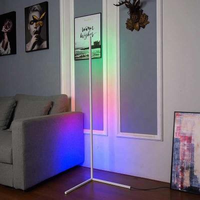 China Modern LED Stand Tripod Corner Floor Lamp RGB Drop Board 140cm Nordic Modern Led Floor Position Light for sale