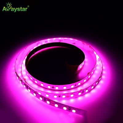 China LAND PLANT Plant For Growing LED Strip Light 400-420nm 2835 LED Strip Light Atmosphere Purple UV UV Car LED Strip for sale