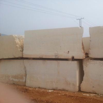 China Modern Quarry Sale Lime Block Direct Price for sale