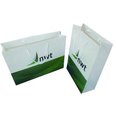 China Recyclable Company Logo Printed Promotion Gift Bag, paper bag for sale