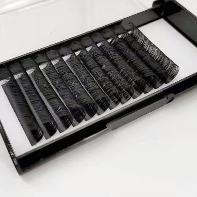 China Natural Soft Soft Light Lash 0.03 0.05 Easy Fan Faux Mink Volume Eyelash Extension Trays 0.07mm With Custom Box for sale