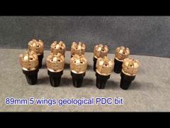 PDC Drill Bits