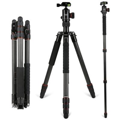 China Hot-selling professional carbon fiber digital camera portable foldable tripod for camera for sale