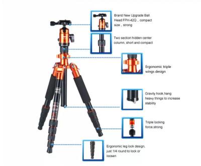 China FOTOPRO Best Lightweight Company Carbon Fiber Travel Lightweight Professional Tripod With Ball Head For Camera for sale