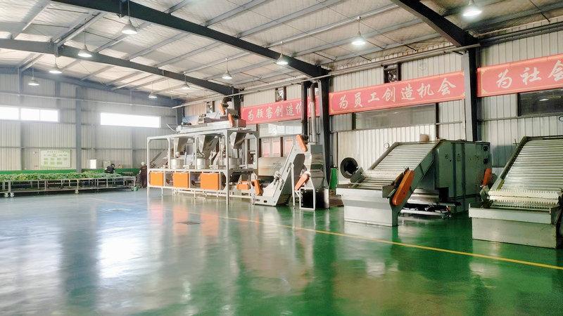 Verified China supplier - Pingli Yiming Tea Co., Ltd.