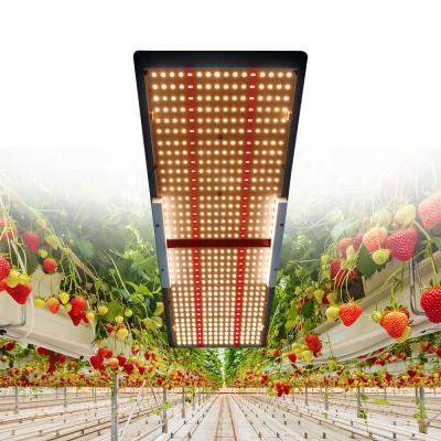 China Seed starting high ppfd grow light and indoor greenhouse kits with lights Samsung led Meijiu 240w for sale