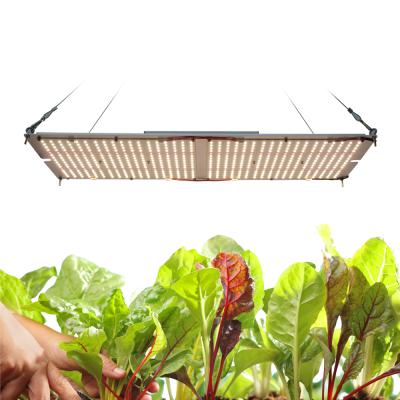 China Seed Starting Meijiu 2021 New LM301B LM301H 240W Full Spectrum Grow Light Led Indoor Veg To Grow Light Adjustable for sale