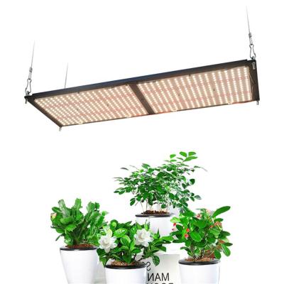 China FLOWER Meijiu 240w V2 Samsung lm301b led grow light QB288 grow tent kits for indoor plants for sale