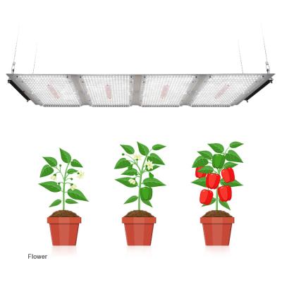 China Seed Starting Meijiu Led Indoor Grow IR UV 320W Led Grow Light And Good Selling Led Indoor Grow Samsung Quarterback Lm301H for sale