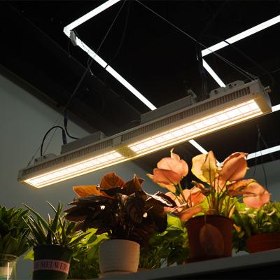 China FLOWER Meijiu Greenhouse Led To Grow Light Modular Design Good Heat Dissipation Led To Grow Full Light Samsung Lm301b for sale