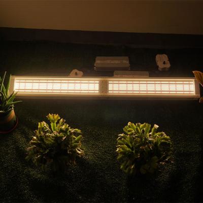 China Seed Starting Lighting Meijiu Indoor Led Grow Led Grow 600W Lm301b, Shenzhen Factory Grow Kit Complete Led Samsung Lm 301h for sale