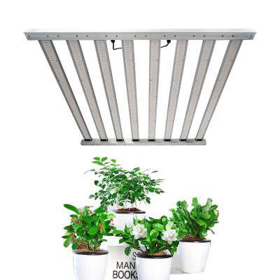 China FLOWER Meijiu online shipping small or large scale grow plant LM301b LED grow lights, high PPFD grow LED for sale