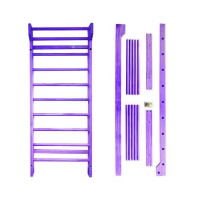 China GIBBON Safe Most Popular Fitness Equipment Products Swedish Wall, Factory New Design Gym Equipment Swedish Ladder for sale