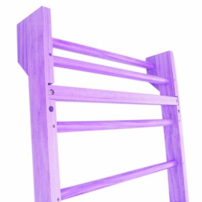 China GIBBON Product High Quality Home Gym Wall Safe Swedish Ladder Home Gym for Kids, Most Popular Products Trainers Swedish Ladder for sale