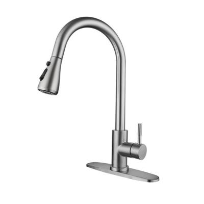 China 2021 Custom Sense Faucets Stainless Steel Fashion Kitchen Faucet for sale