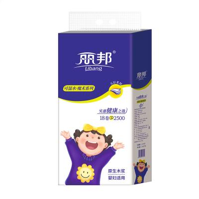 China Home Hotel Restaurant New Daily Use Jumbo Toilet Paper Rolls Virgin Wood Pulp Coreless Jumbo Tissue Roll for sale