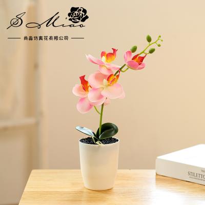 China Simulation Plants Wholesale Artificial Decorative Bonsai Spike Four-flowered Phalaenopsis Bonsai for sale