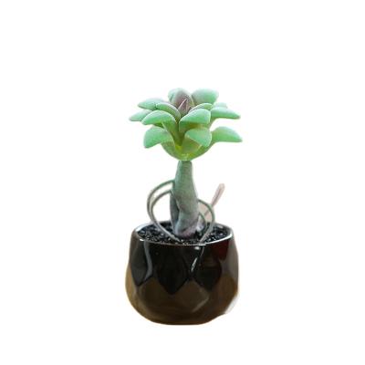 China Mini Artificial Succulent Plants Ceramics Transitional Pot with Rod Succulent Bonsai for sale