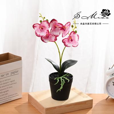 China Porcelain Artificial Flowers Plastic Orchid Silk Plants For Home Decoration for sale