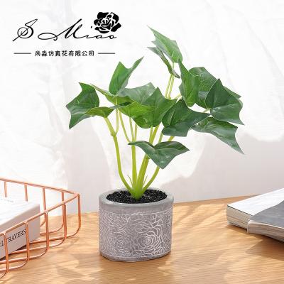 China Artificial Bonsai Plant Mini Industrial Decorative Plastic Plant for Home Decoration for sale