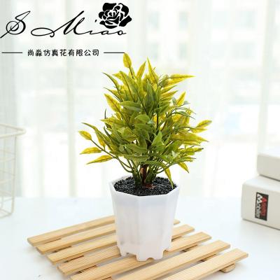 China Artificial Bonsai Plant Mini Industrial Decorative Plastic Bonsai Trees For Home Decoration for sale