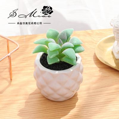 China Mini plant rustic artificial succulent plastic simulation home furniture artificial green plants for sale