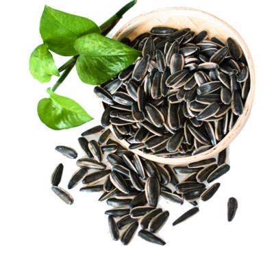 China Cheap Price Dried Chinese Roasted Sunflower Seeds In Shell for sale