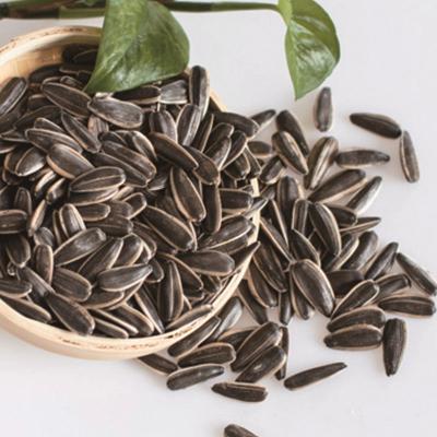 China New Raw Cultivation Best 361 Quality Raw Sunflower Seeds With Factory Price for sale